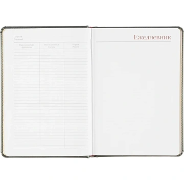 Ежедневник недатированный серый,А5,145х205мм,136л, Sidney NEBRASKA 3-128/09