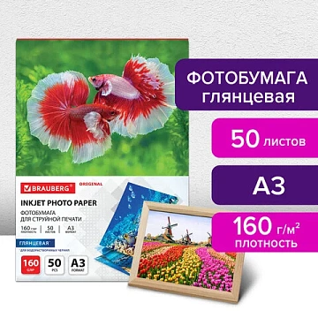 Фотобумага глянцевая БОЛЬШОГО ФОРМАТА, А3, 160 г/м2, односторонняя, 50 листов, BRAUBERG ORGINAL, 363