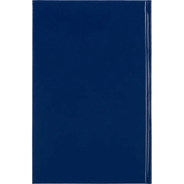 Ежедневник недатированный ,бумвинил,синий,А5,128х200мм,128л
