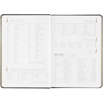 Ежедневник недатированный серый,А5,145х205мм,136л, Sidney NEBRASKA 3-128/09