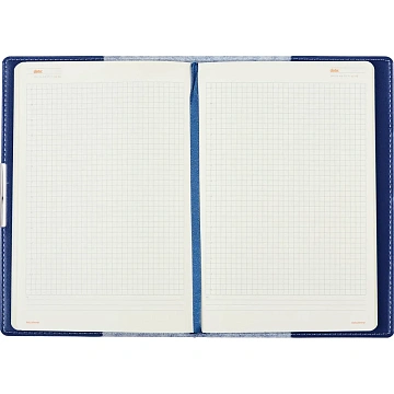 Ежедневник недатированный А5 METROPOL (СИНИЙ)3-491/01