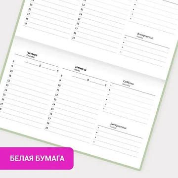 Еженедельник недатированный с резинкой 171х93 мм, BRAUBERG, твердый, 64 л., 'Minimal', зеленый, 116314