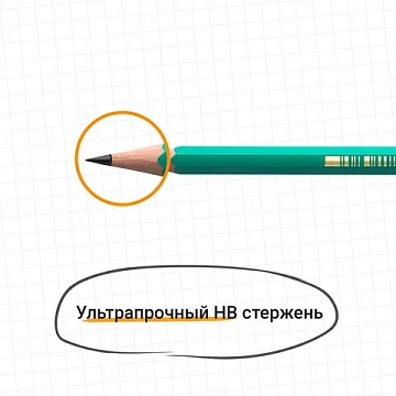 Карандаш чернографитный BIC, 1 шт., 'Evolution', HB, корпус зеленый, 8803112