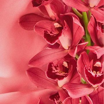 Папка адресная ЦВЕТЫ глянцевая