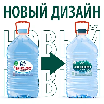 Вода Черноголовка природная питьевая негазированная, 5л
