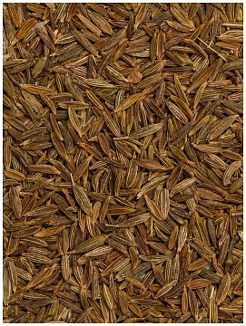 Кумин (зира) Kotanyi целый, 20г