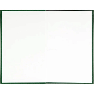 Ежедневник недатированный А5,128л.,55-65 г,бумвинил зеленый,Attache Economy