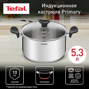 Кастрюля с крышкой Tefal Primary 5.3л, 24см