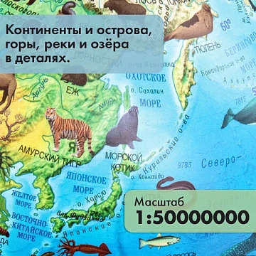 Глобус зоогеографический GLOBEN 'Классик Евро', 25 см, с подсветкой, детский, Ке012500270