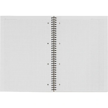 Бизнес-тетрадь 100л,кл,А4,LightBook,спираль,обл.синий,блок белый 70г/м