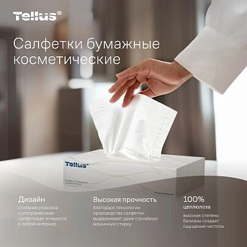 Салфетки косметические 100 штук в картонном боксе, 2-слойные, Tellus/TORK Premium (Система F1), 1203