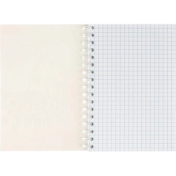 Бизнес-тетрадь А6,80л,кл,бок.греб,карт+УФлак Attache Selection TravelItaly