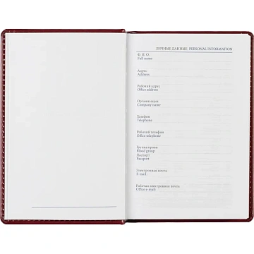 Ежедневник недатированный бордо, А6,100x150, 320стр, Agenda