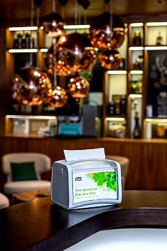 Диспенсерные салфетки Tellus (tork) Xpressnap N4 16x23см, белые, 2 слоя, 200шт, 10844 (10840)