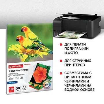 Фотобумага матовая, А4, 160 г/м2, односторонняя, 50 листов, BRAUBERG ORIGINAL, 363985