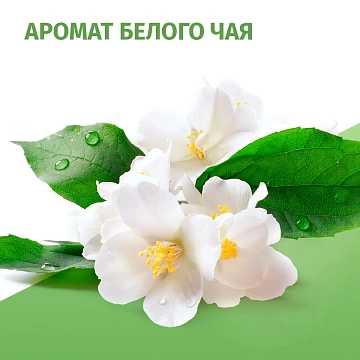 Дезодорант-аэрозоль Фа Природная Свежесть Белый Чай, 150мл