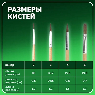 Кисти BRAUBERG, набор 4 шт. (пони, круглые № 2, 3, 4, плоская № 6), блистер, 200221