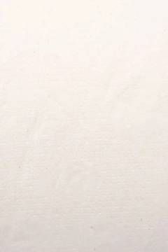 Туалетная бумага Protissue 1 слой, 525м, белая, С393