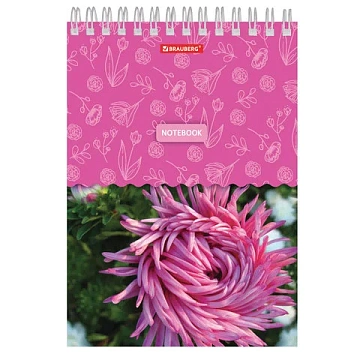 Блокнот А5, 146х205 мм, 60 л., гребень, картон, жесткая подложка, клетка, BRAUBERG, 'Четыре сезона',