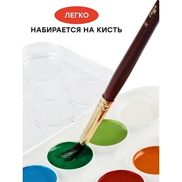 Краски акварельные ГАММА 'Мультики NEW', 12 цветов, медовая, пластиковый корпус, европодвес, 211046_