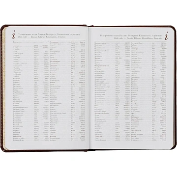 Ежедневник недатированный коричнев,А5,145х205,136л,Sidney NEBRASKA 3-128/03