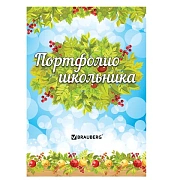 Листы-вкладыши для портфолио школьника, 14 разделов, 16 листов, 'Окружающий мир', BRAUBERG, 126896