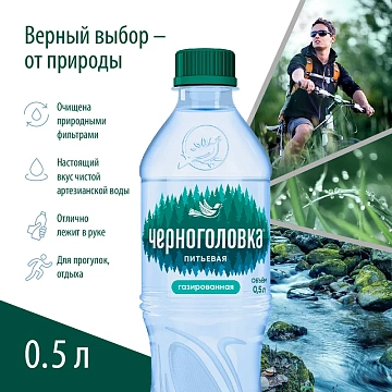 Вода Черноголовка питьевая газированная, 500мл x 12 шт