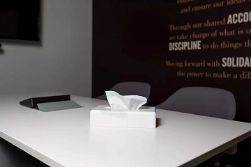 Салфетки косметические 100 штук в картонном боксе, 2-слойные, Tellus/TORK Premium (Система F1), 1203