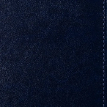Ежедневник недатированный синий, А5, 148x218, 352стр, Agenda