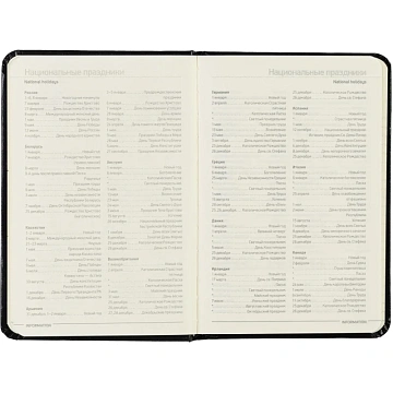 Ежедневник недатированный черный, А6,87х130,100л, Br.V.MEGAPOLIS 3-283/02