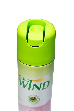Освежитель воздуха Gold Wind 2 in 1 после дождя, 300мл, аэрозоль