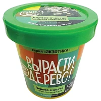 ВЫРАСТИ ДЕРЕВО!