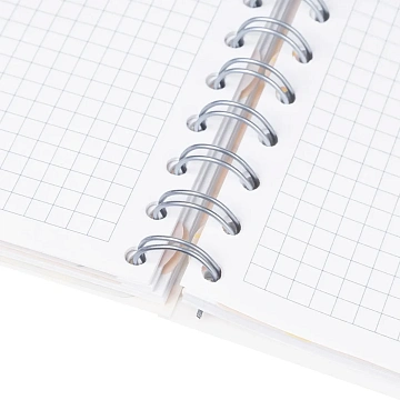 Бизнес-тетрадь 120л,клетка,А5 Flora 1,пласт.обл,серебр.спир,3раздел,линейка