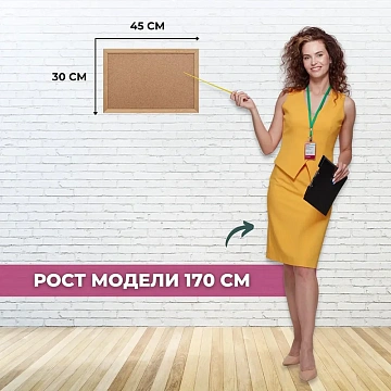 Доска пробковая 30х45см деревянная рама