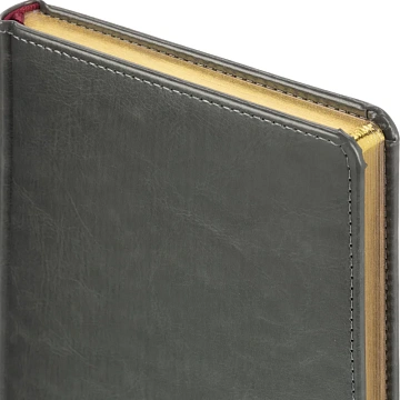 Ежедневник недатированный серый,А5,145х205мм,136л, Sidney NEBRASKA 3-128/09