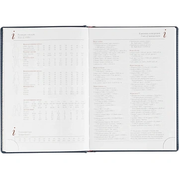 Ежедневник недатированный А5 LEADER (СИНИЙ) 3-129/01