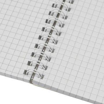 Бизнес-тетрадь А4 96л AttacheSelection Gold Collection клет,спир,карт,голуб