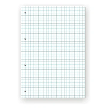Сменный блок 100л,клетка,А4
