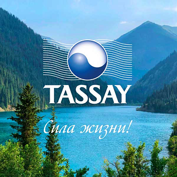 Вода Tassay питьевая негазированная, 1л