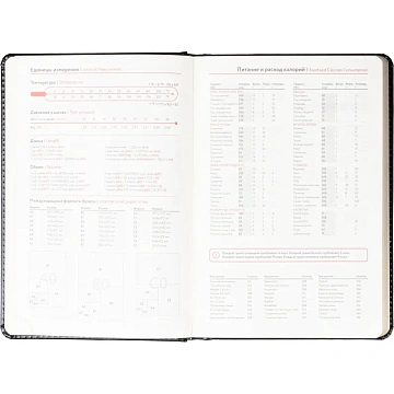 Ежедневник недатированный ATTACHE Gold А6, 160л, черный