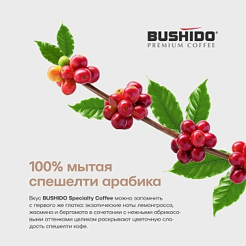 Кофе Bushido Specialty Coffee молотый, 227г пакет