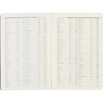 Ежедневник недатированный А5, 136л, MEGAPOLIS FLEX бордовый 3-531/02