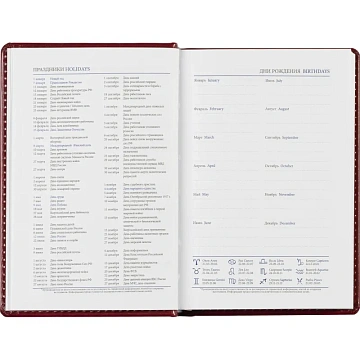 Ежедневник недатированный бордо, А6,100x150, 320стр, Agenda