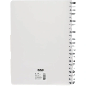 Бизнес-тетрадь 120л,клетка,А4 Flora 1,пласт.обл,серебр.спир,3раздел,линейка