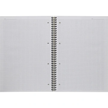 Бизнес-тетрадь 100л,кл,А4,LightBook,спираль,обл.корич,блок белый 70г/м