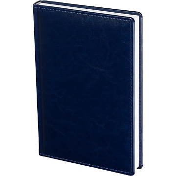 Ежедневник недатированный синий, А5, 148x218, 352стр, Agenda