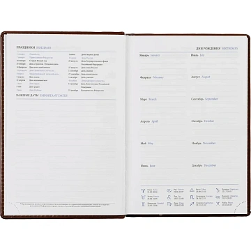Ежедневник недатированный коричн, А5, 148x218, 352стр, Agenda