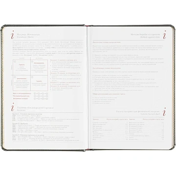 Ежедневник недатированный серый,А5,145х205мм,136л, Sidney NEBRASKA 3-128/09