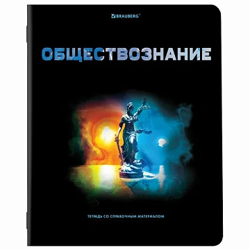 Тетради предметные, КОМПЛЕКТ 12 ПРЕДМЕТОВ, 48 л., глянцевый УФ-лак, BRAUBERG, 'SHADE', 404324