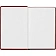 Ежедневник недатированный бордо, А6,100x150, 320стр, Agenda